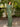 Parma | Long Sleeve Beaded Evening Gown | Primavera 12001