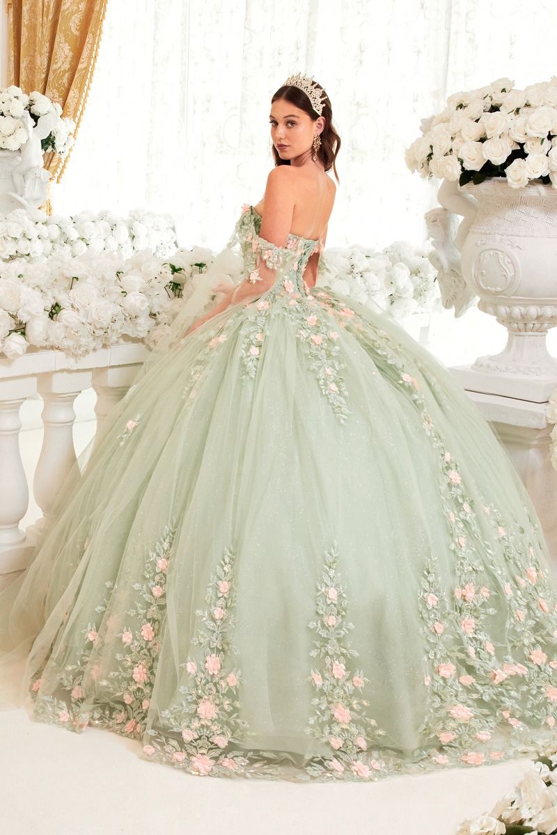 Calista | Sage Ball Gown with Blush Floral Details | LaDivine 15716