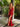 Orina | Sequin Beaded Evening Gown | Primavera Couture 4107