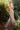 Sophisticated Beauty | Rose Tinted Glass Beaded Gown w/ Matching Gloves | A1157