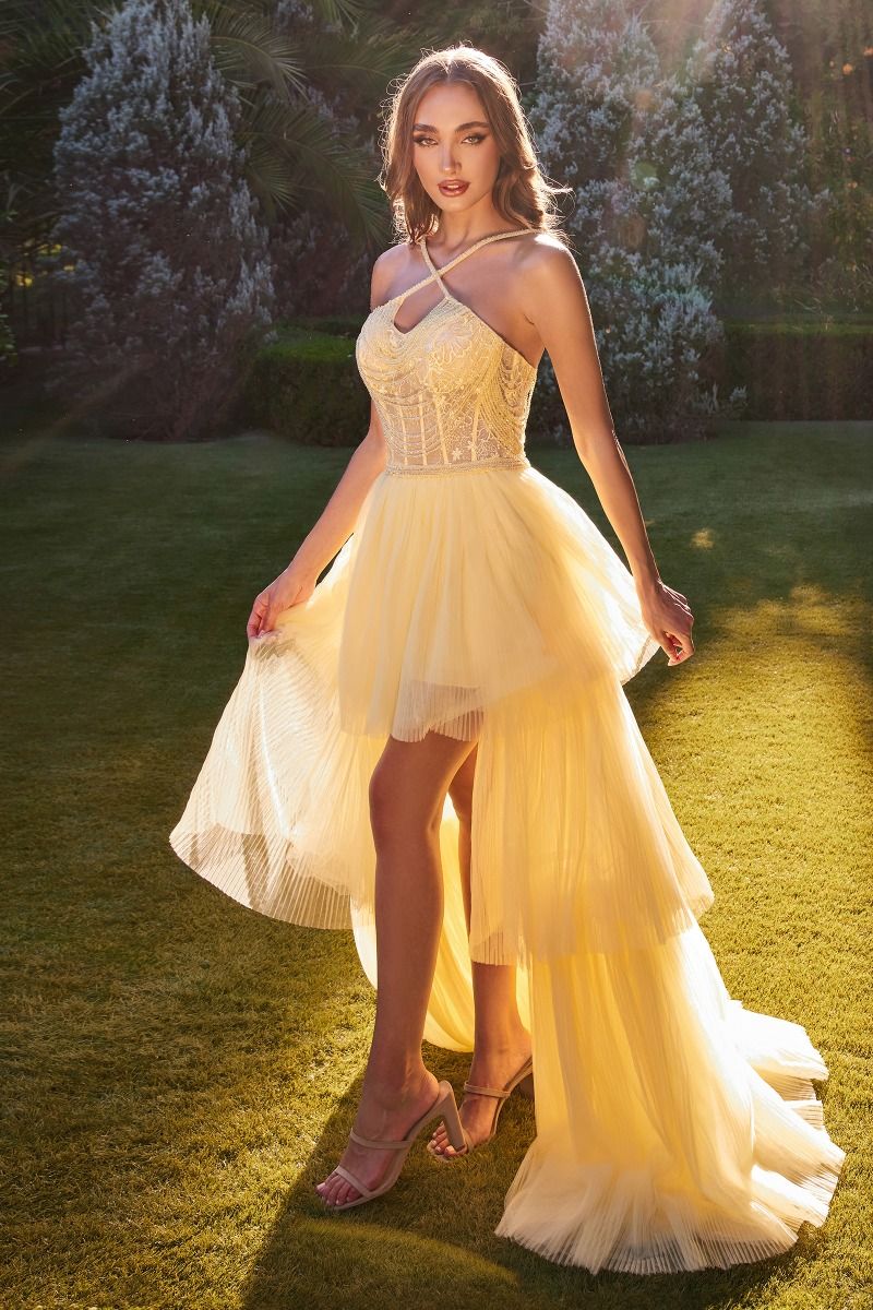 Paige | High Low Halter Beaded Ball Gown | Andrea & Leo Couture A1239
