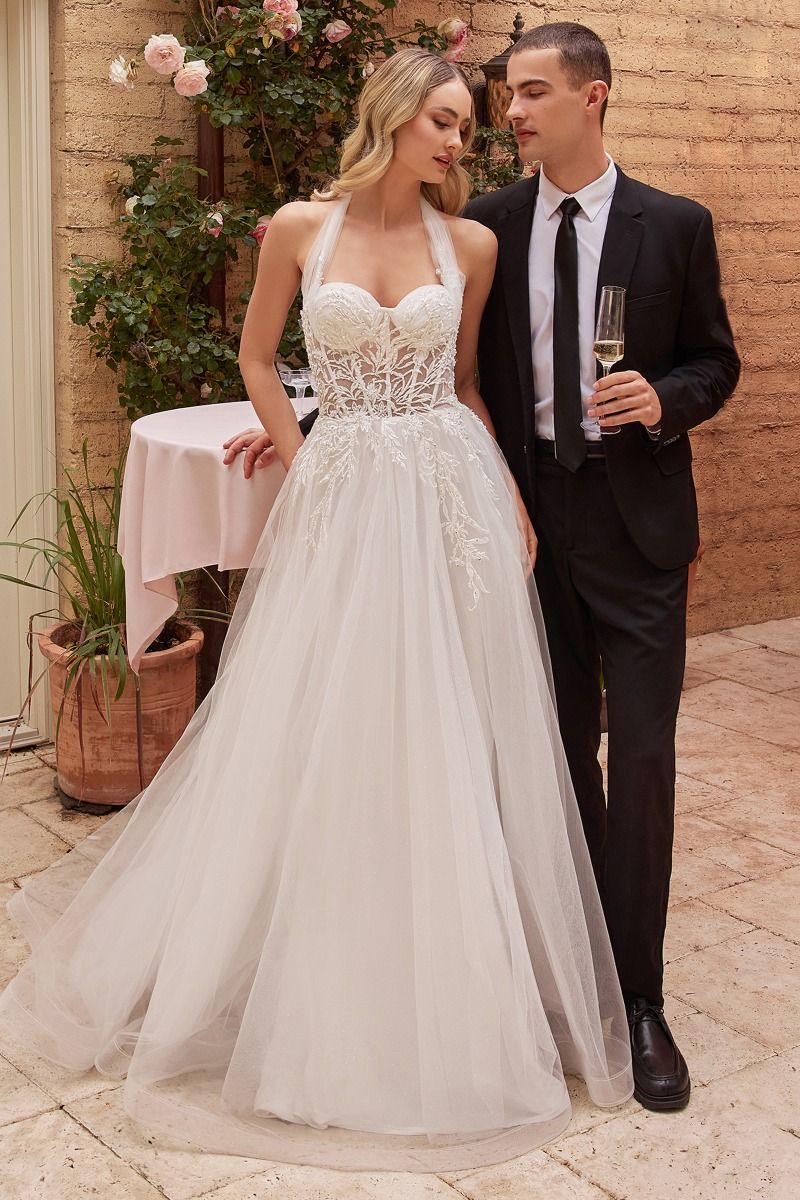 Forever After All | Strapless A Line Bridal Gown | Ladivine CD827w