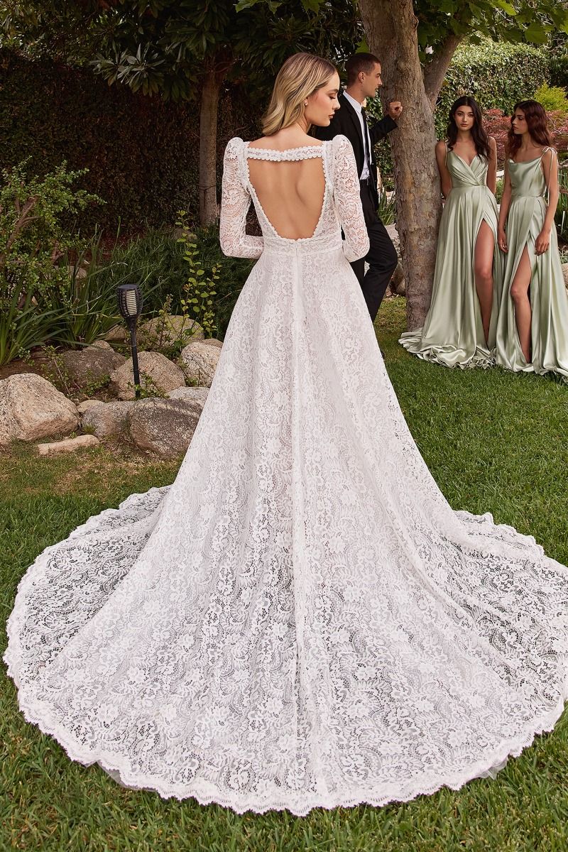 Model is showing the back of the Cinderella Divine CD862W wedding dress 