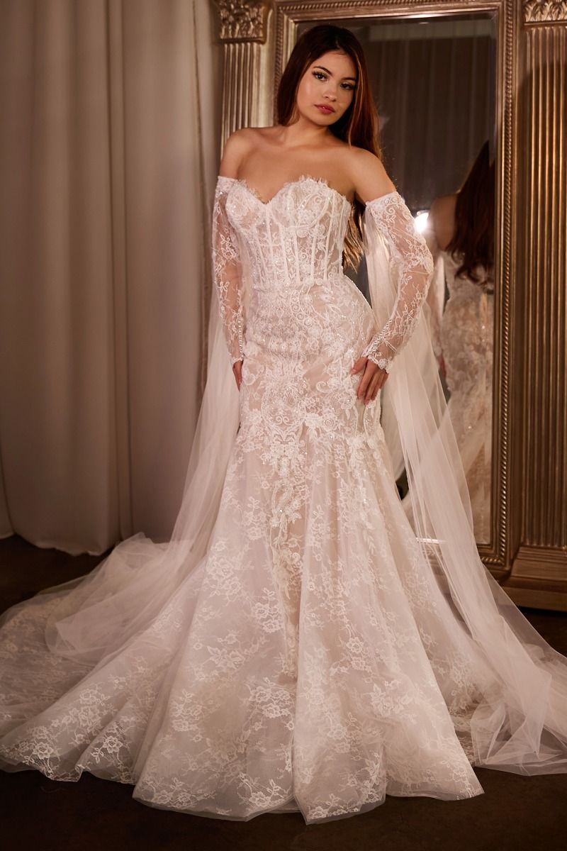 Lace Dreams | Fitted Lace Mermaid Bridal Gown With Sleeves | Ladivine CDS424W