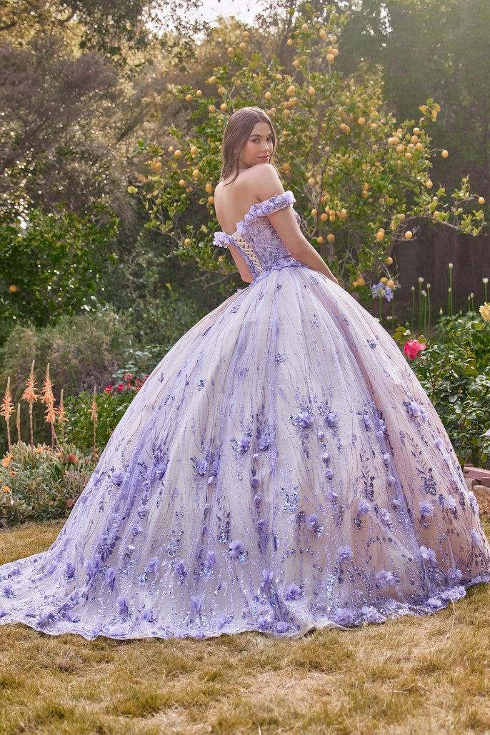 Shining Light | Off the Shoulder Quinceanera Floral Ball Gown | 15704