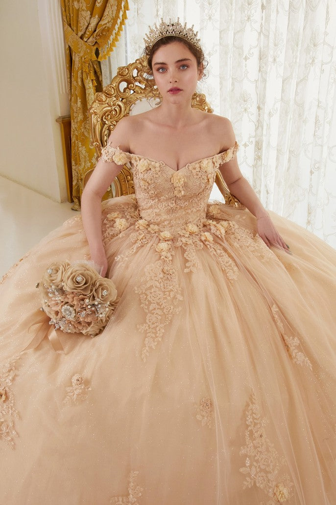 Love Angel | Off the Shoulder Floral Quince Ball Gown | LaDivine 15702