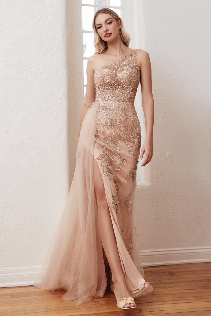 Stunner | One Shoulder Embellished Gown with Tulle Overskirt | CB098