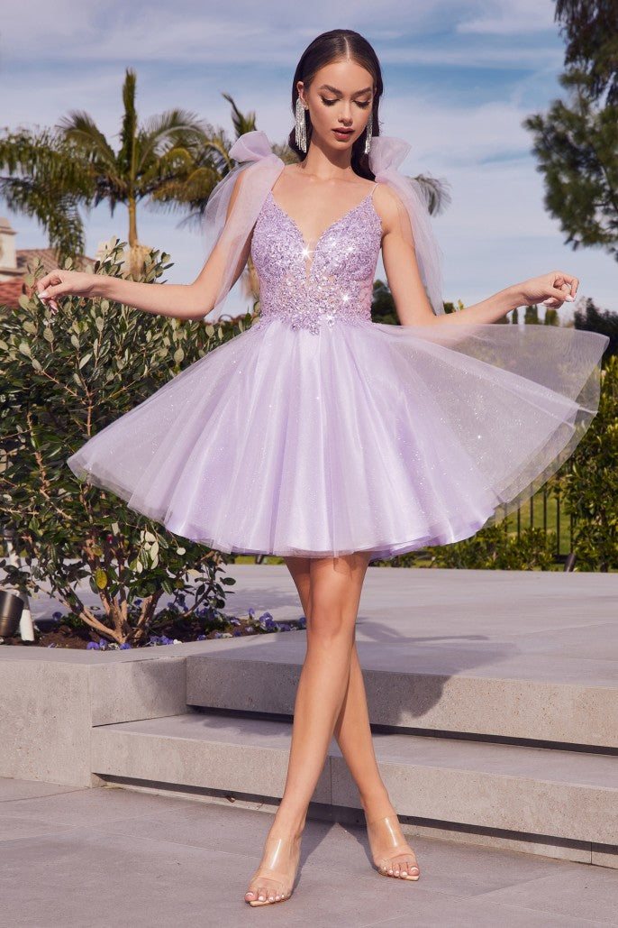 Adore You | A Line Short Tulle Dress | LaDivine CD0174