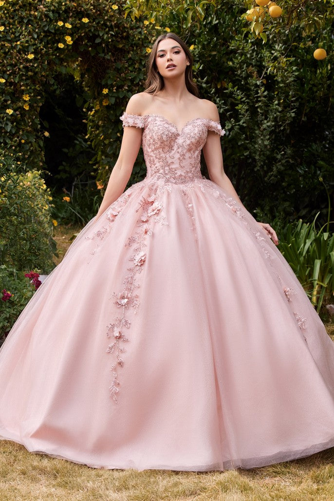 Grand Entrance | Off the Shoulder Layered Tulle Ball Gown | LaDivine CD0185