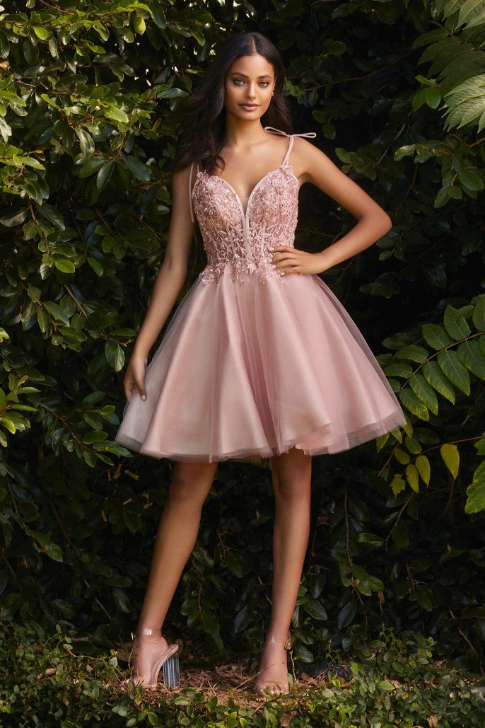 Wrapped in Love | Short Tulle and Lace Dress | CD0188